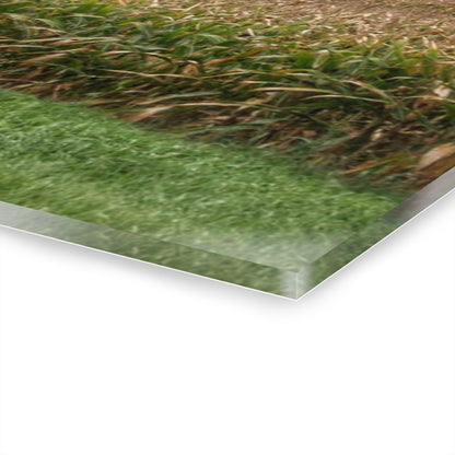 U R There Photography East Caro Road Reds Rustic Farmhouse Acrylic Wall Print