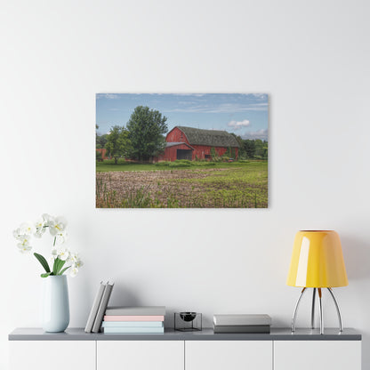 U R There Photography Murphy Lake Road Reds Rustic Farmhouse Acrylic Wall Print