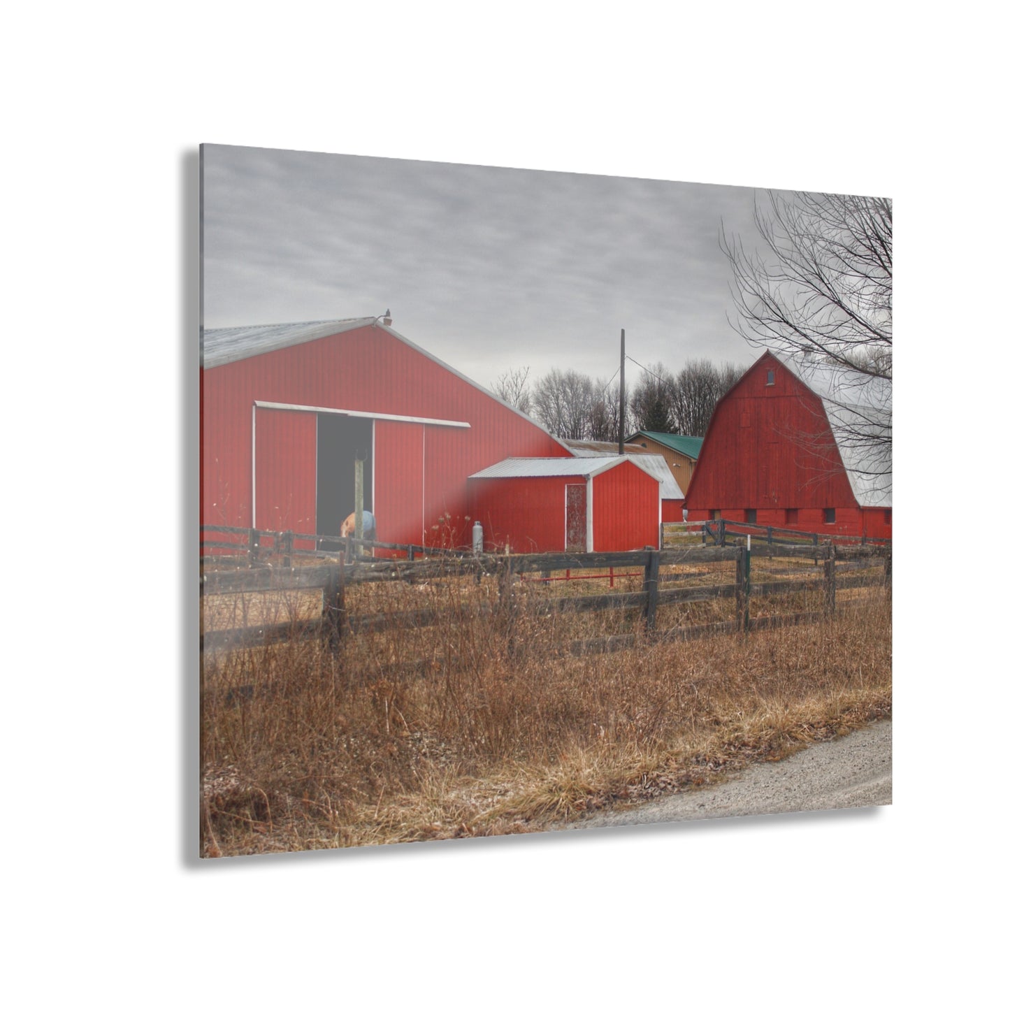 U R There Photography January Reds Rustic Farmhouse Acrylic Wall Print