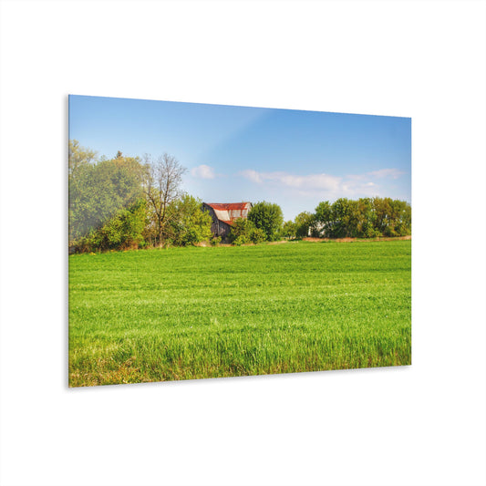 U R There Photography Deckerville Road Hidden Red Rustic Farmhouse Acrylic Wall Print