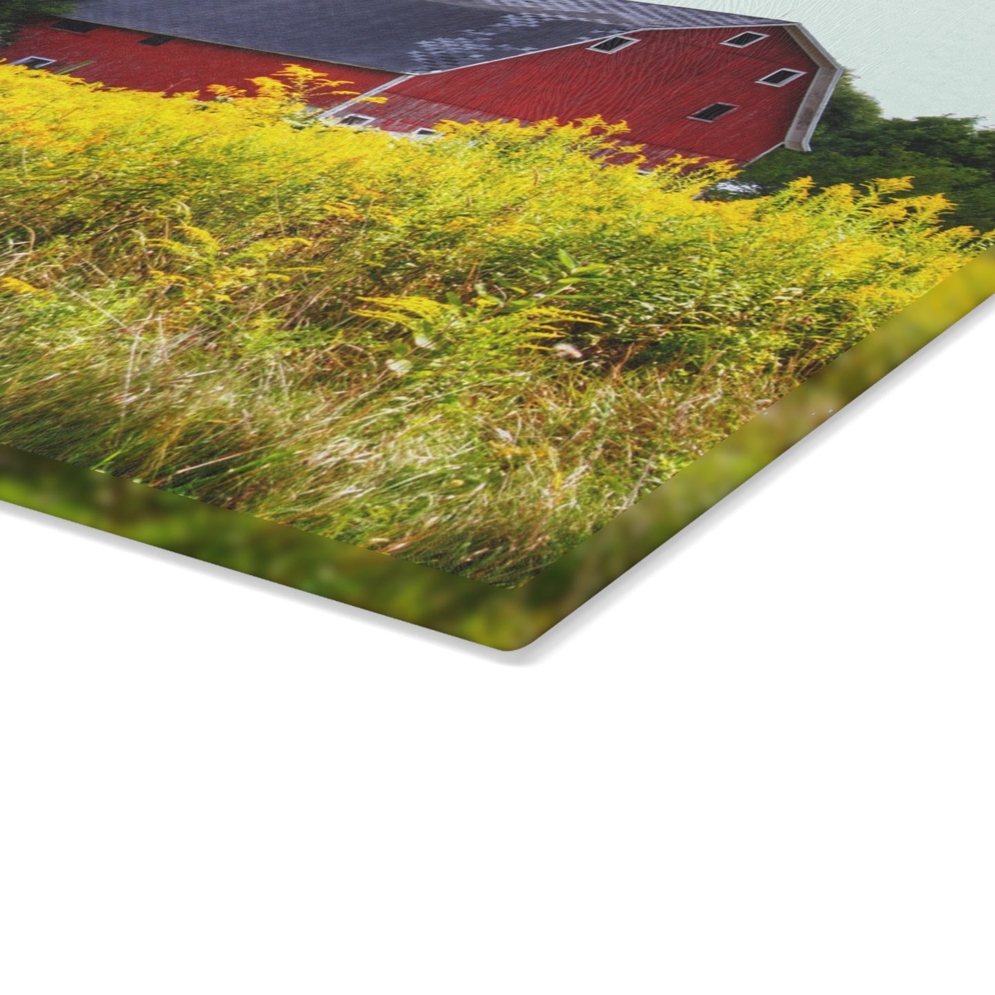 U R There Photography Starr Court Red II Rustic Farmhouse Tempered-Glass Cutting Board