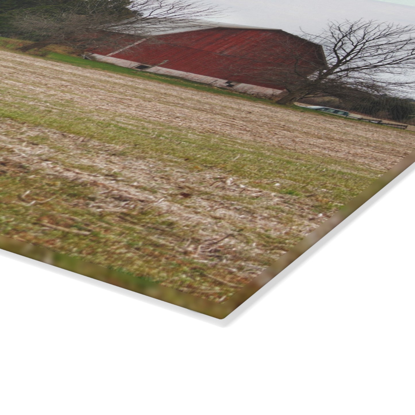U R There Photography Hidden Millington Road Red Rustic Farmhouse Tempered-Glass Cutting Board