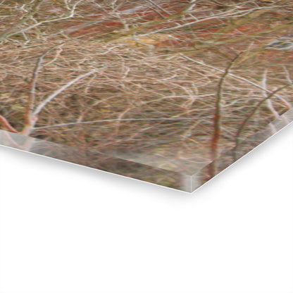 U R There Photography Klam Road Hidden Gable Red Rustic Farmhouse Acrylic Wall Print