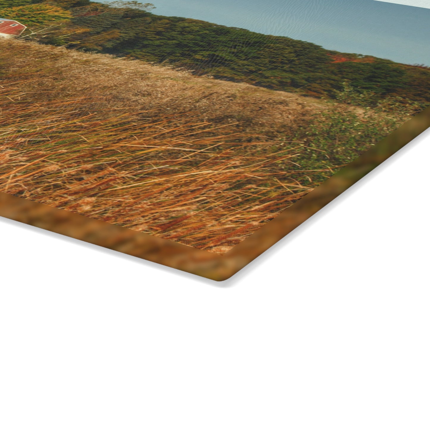 U R There Photography Murphy Lake Road Hidden Red Rustic Farmhouse Tempered-Glass Cutting Board