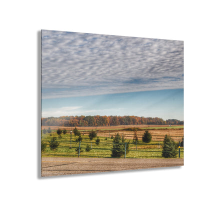 U R There Photography Fences, Firs and Fall Rustic Farmhouse Acrylic Wall Print