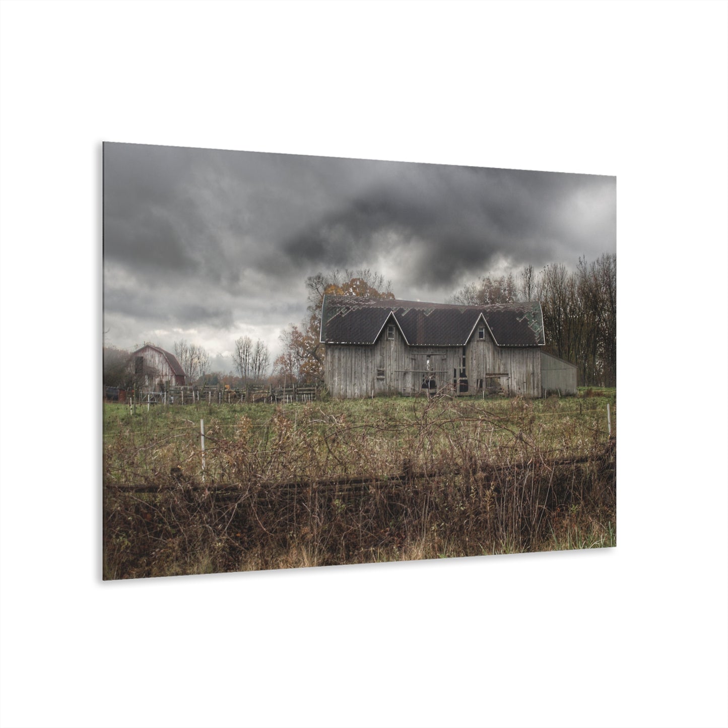 U R There Photography Green Road Grey Rustic Farmhouse Acrylic Wall Print