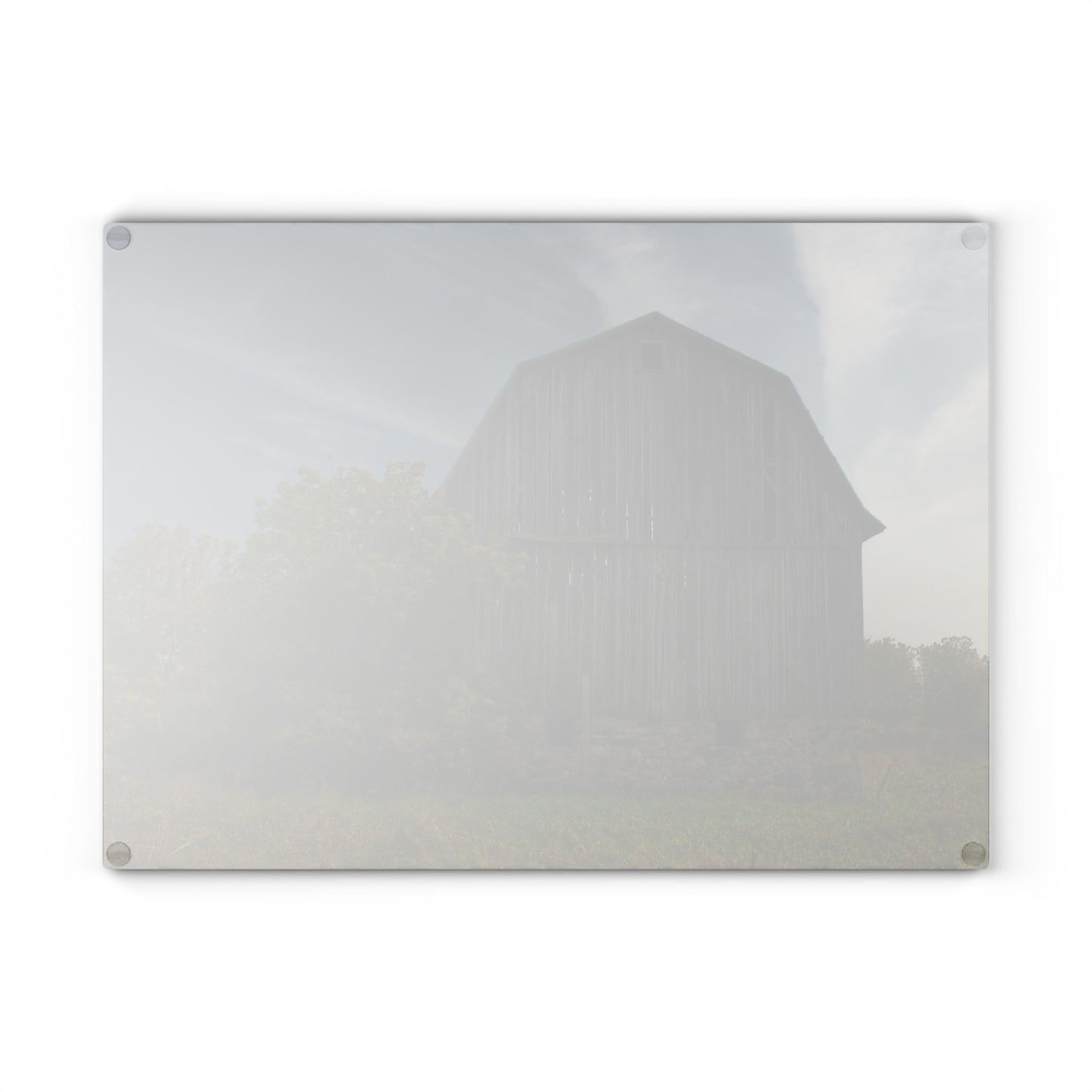U R There Photography Cat Lake Grey I Rustic Farmhouse Tempered-Glass Cutting Board