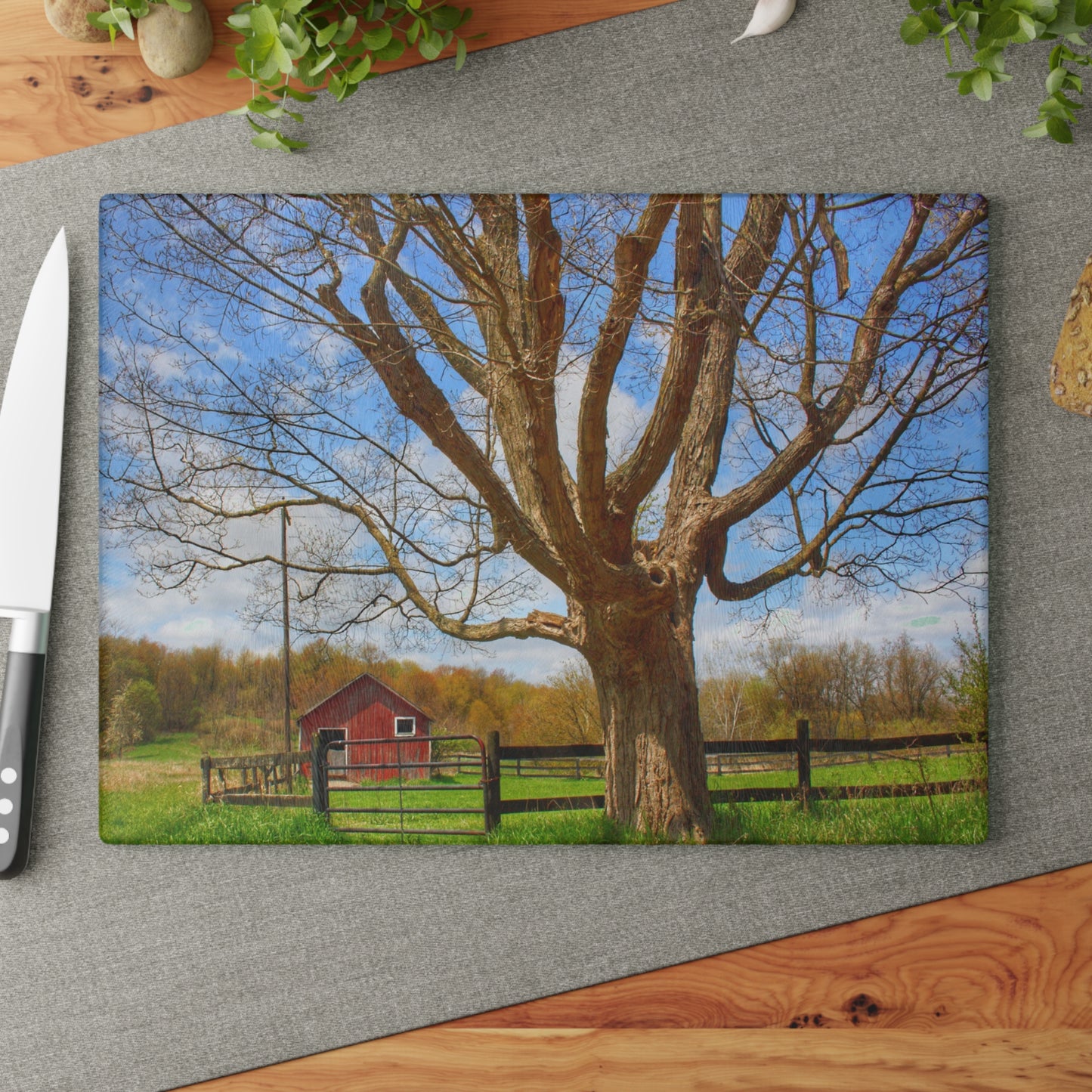 U R There Photography Delano Oak and Little Red Rustic Farmhouse Tempered-Glass Cutting Board