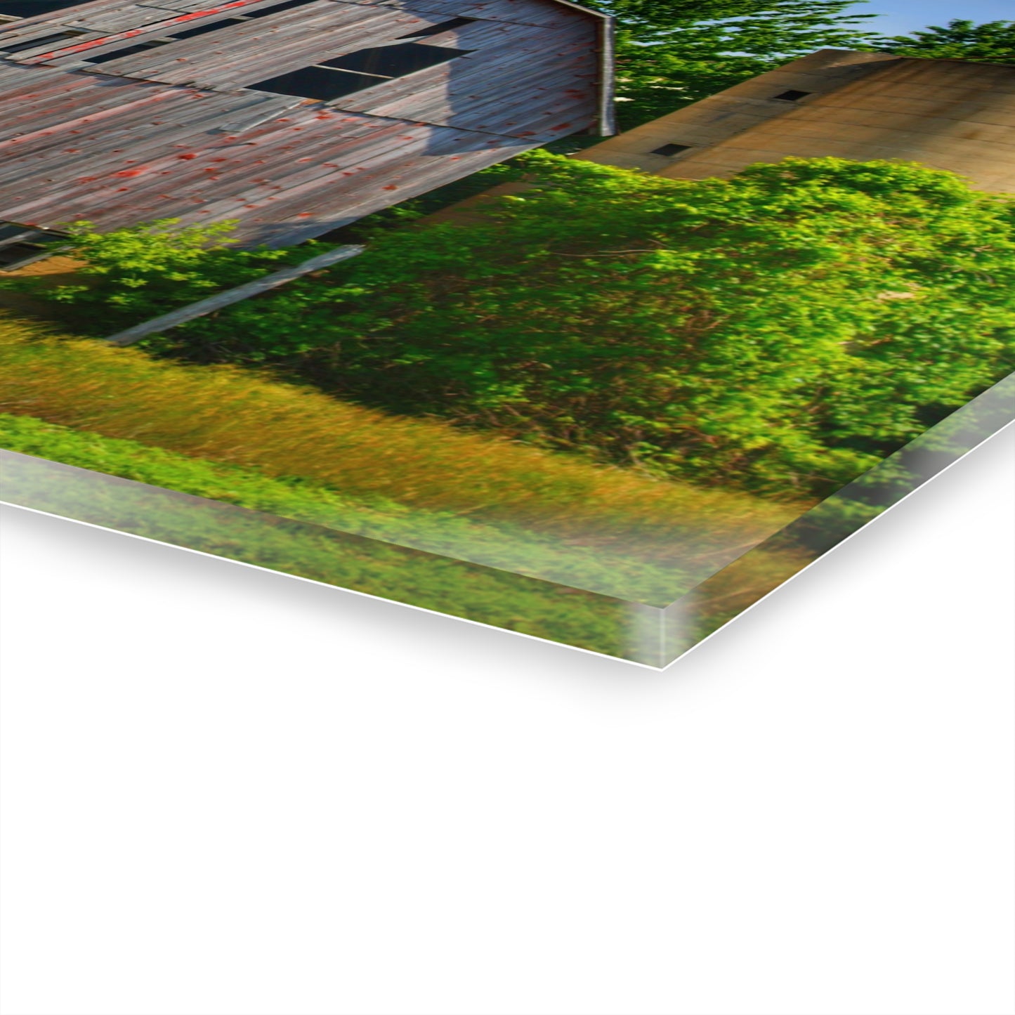 U R There Photography Mushroom Road Red and Silo Rustic Farmhouse Acrylic Wall Print