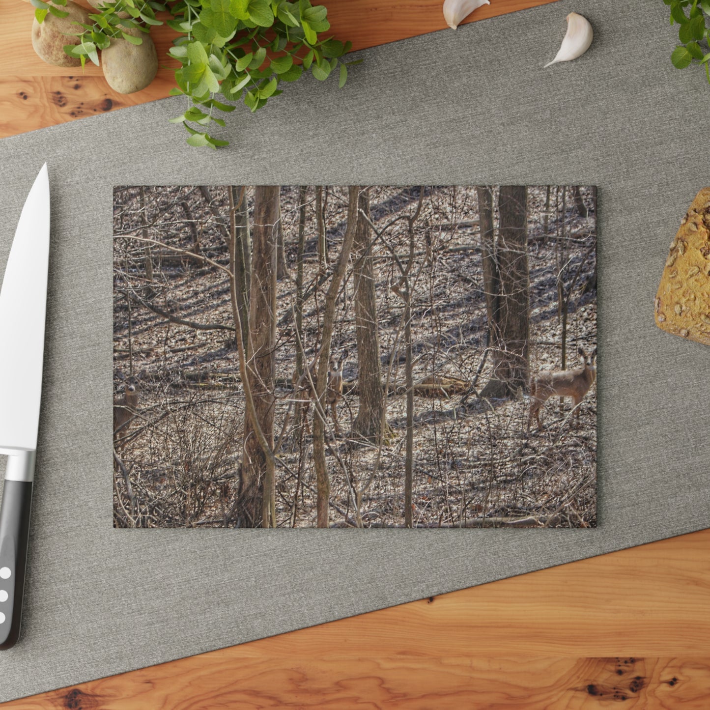 U R There Photography Three Does of Dryden Rustic Farmhouse Acrylic Analog Wall Clock