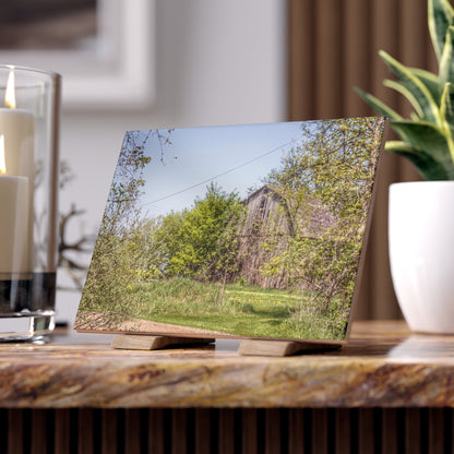 U R There Photography Bishop Road Grey II Rustic Farmhouse Decorative Ceramic Tile 6 "x 8