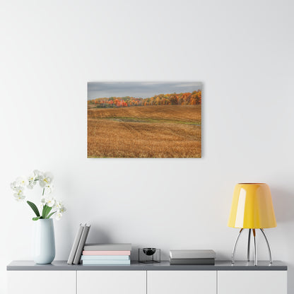 U R There Photography Colors of Fall on Lippincott Road Rustic Farmhouse Acrylic Wall Print