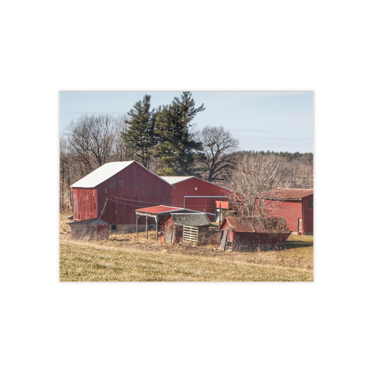 U R There Photography Bronson Lake Reds Rustic Farmhouse Decorative Ceramic Tile 6" × 8" Glossy