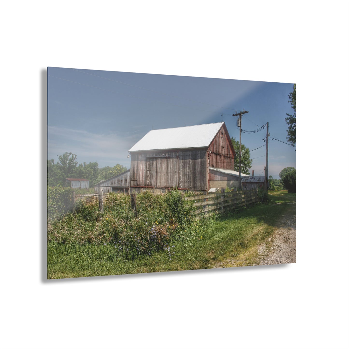 U R There Photography Castle Road Cow Barn I Rustic Farmhouse Acrylic Wall Print
