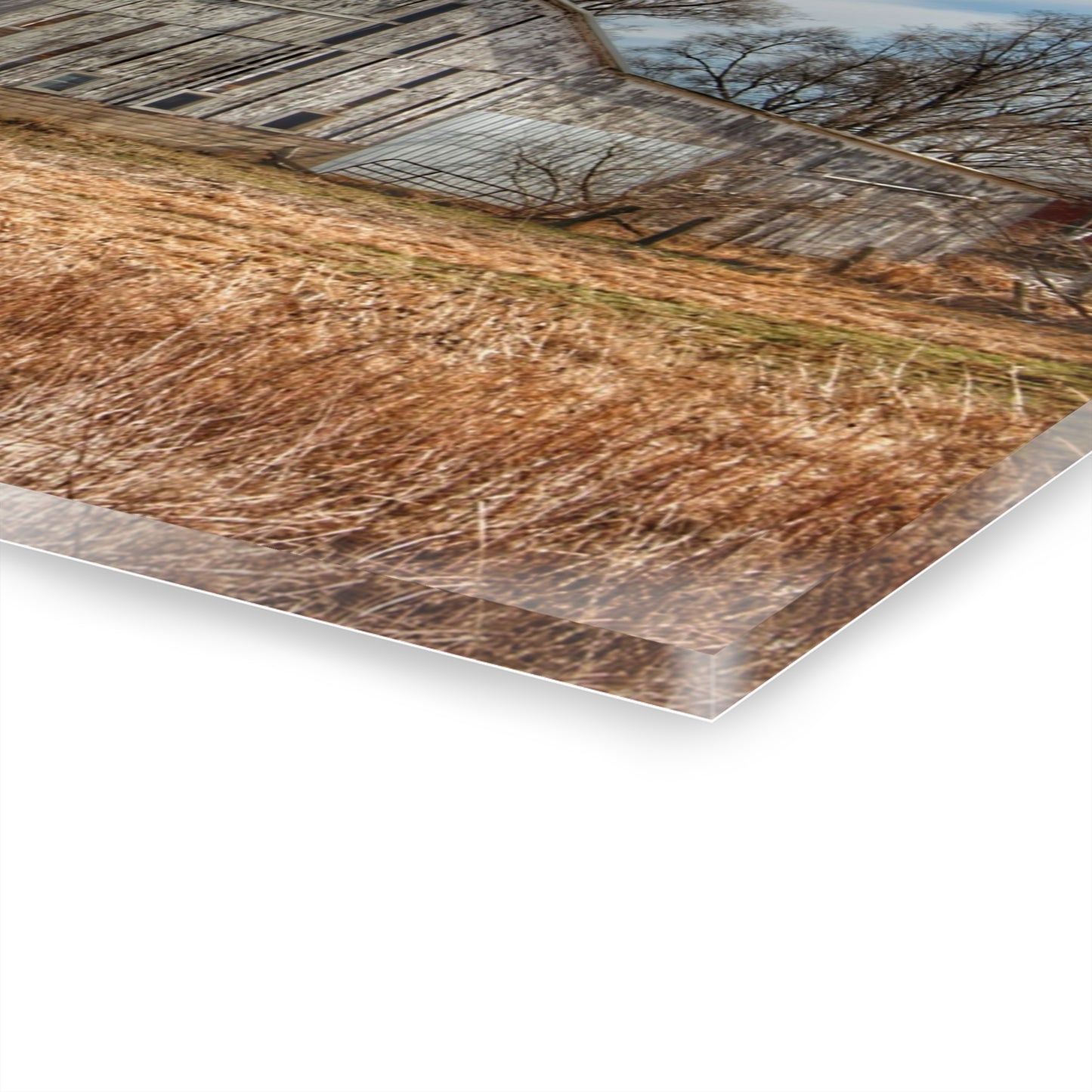 U R There Photography Newark Road White I Rustic Farmhouse Acrylic Wall Print