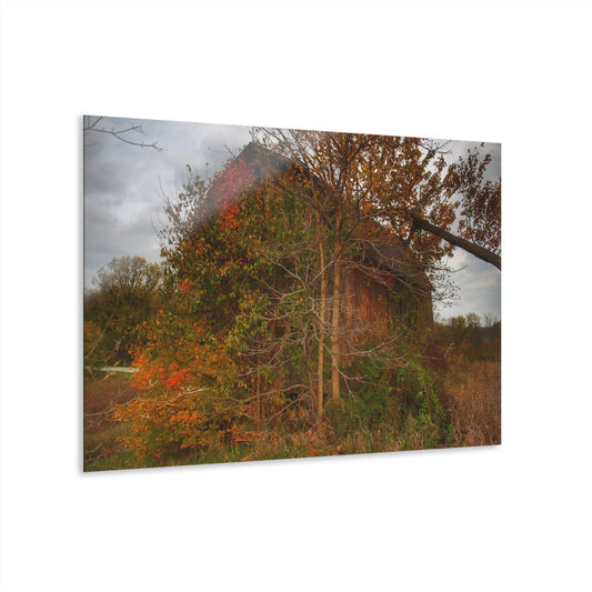 U R There Photography Annie's Barn III Rustic Farmhouse Acrylic Wall Print