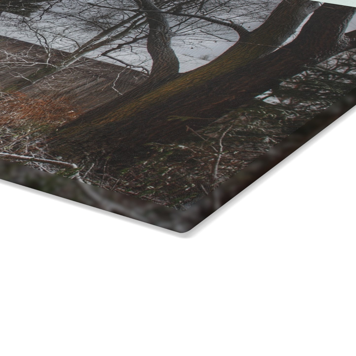 U R There Photography Willard Road Hidden Grey Rustic Farmhouse Tempered-Glass Cutting Board