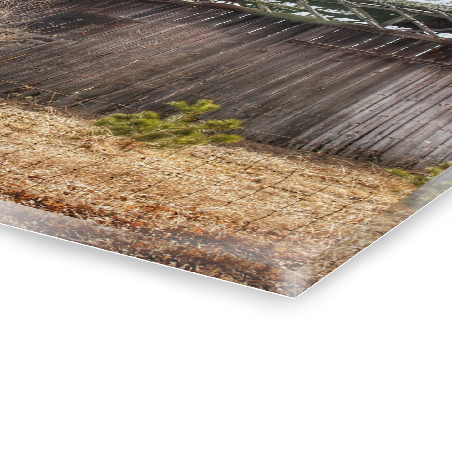 U R There Photography Leix Road Forgotten Grey II Rustic Farmhouse Acrylic Wall Print