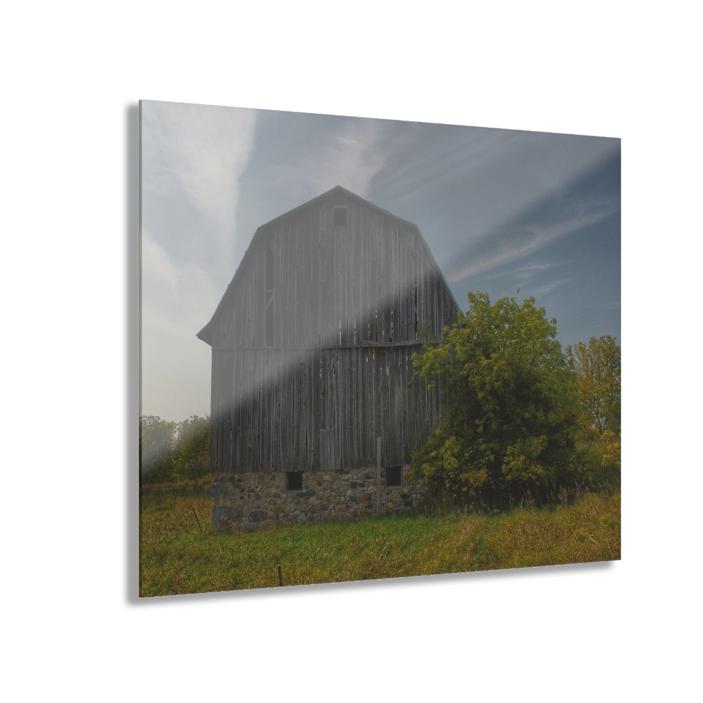 U R There Photography Cat Lake Grey I Rustic Farmhouse Acrylic Wall Print