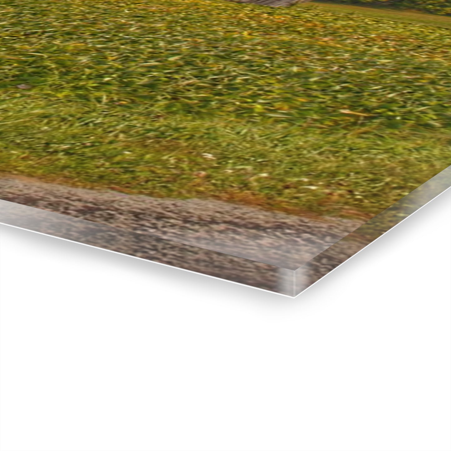 U R There Photography Swaffer Road Duo Rustic Farmhouse Acrylic Wall Print