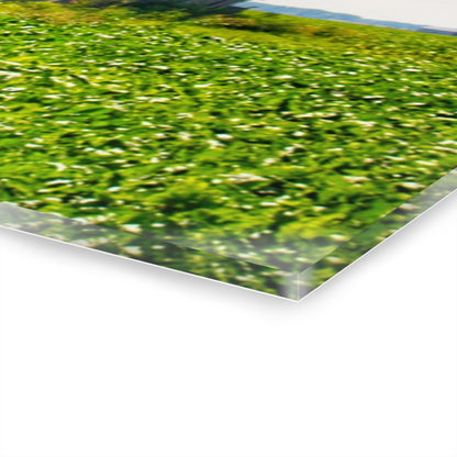 U R There Photography Morning Roadside Grey Rustic Farmhouse Acrylic Wall Print