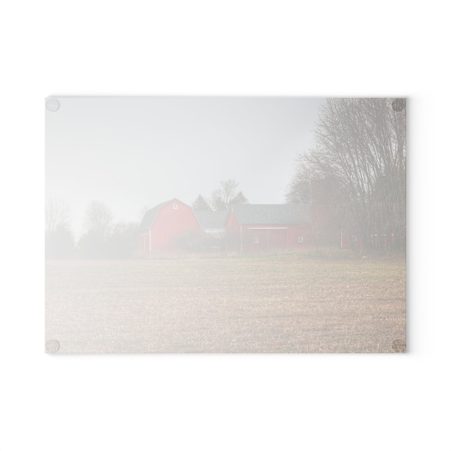 U R There Photography Kidder Road Reds Rustic Farmhouse Tempered-Glass Cutting Board