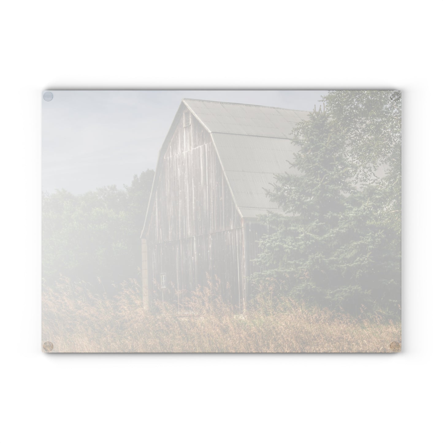 U R There Photography Seymour Lake Road Hidden Grey Rustic Farmhouse Tempered-Glass Cutting Board