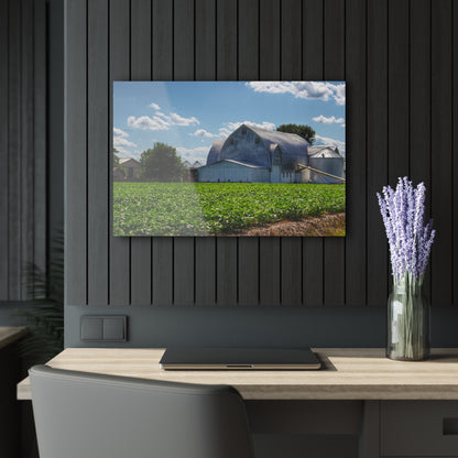 U R There Photography Canada Road White Rustic Farmhouse Acrylic Wall Print