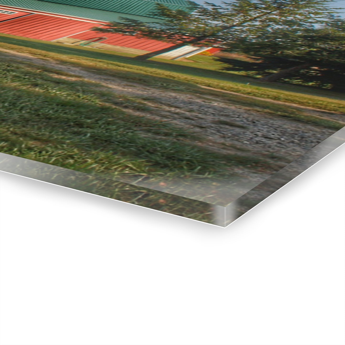 U R There Photography Modern Red II Rustic Farmhouse Acrylic Wall Print