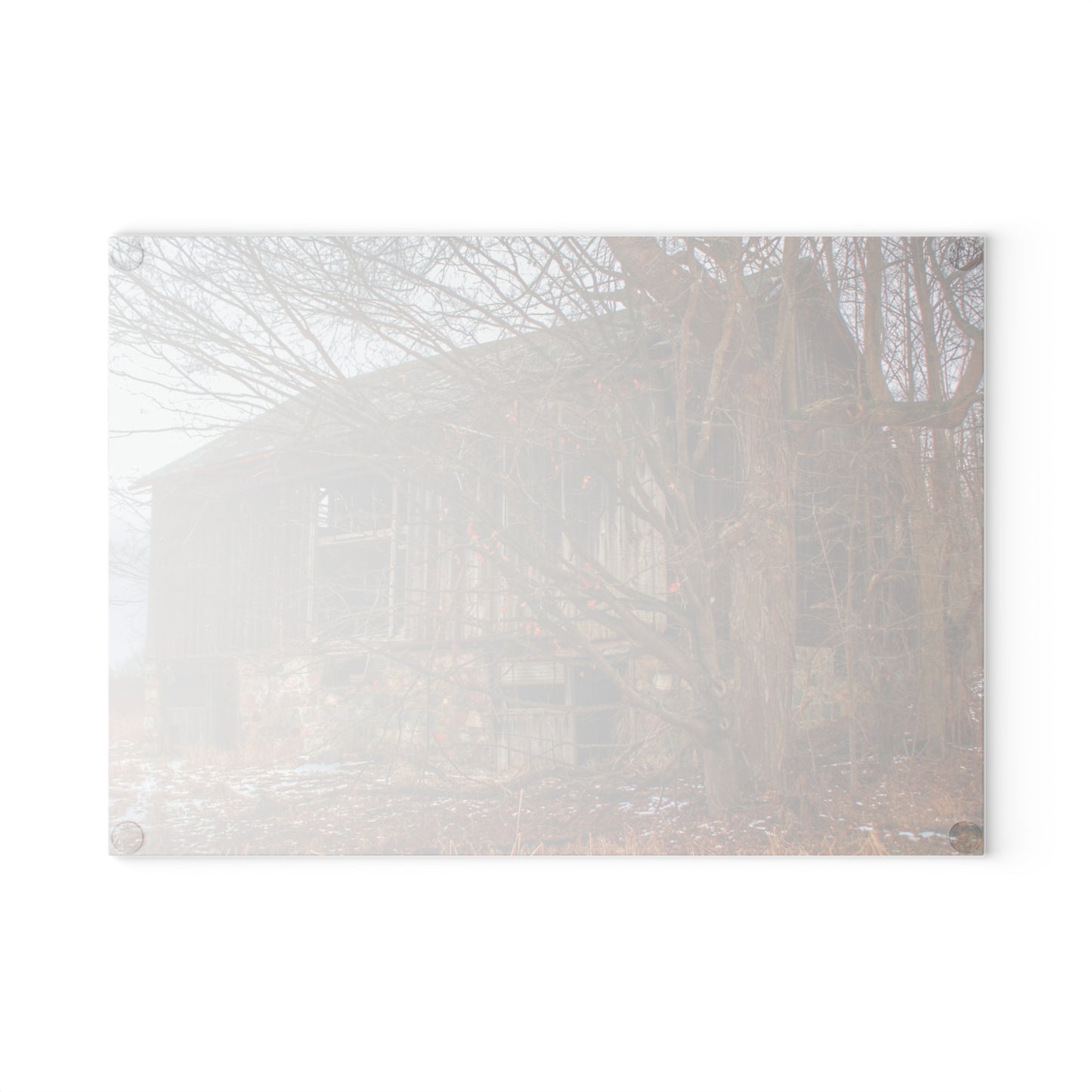 U R There Photography Norway Lake Road Hidden Grey II Rustic Farmhouse Tempered-Glass Cutting Board