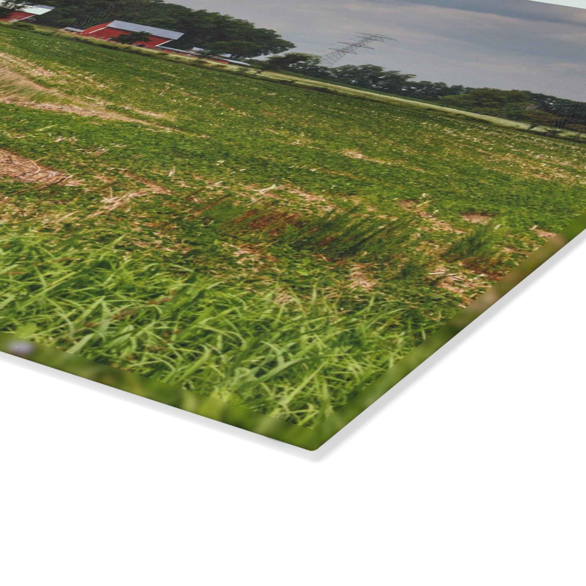 Rustic Farmhouse Cutting Board| Across the Field in Elba II
