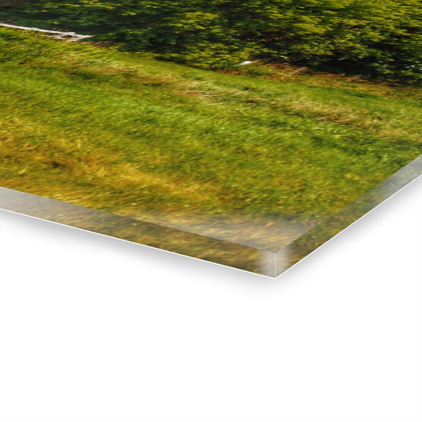 U R There Photography Hidden Red Beyond the Fence Rustic Farmhouse Acrylic Wall Print