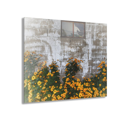U R There Photography Golden Blooms on McDowell Rustic Farmhouse Acrylic Wall Print