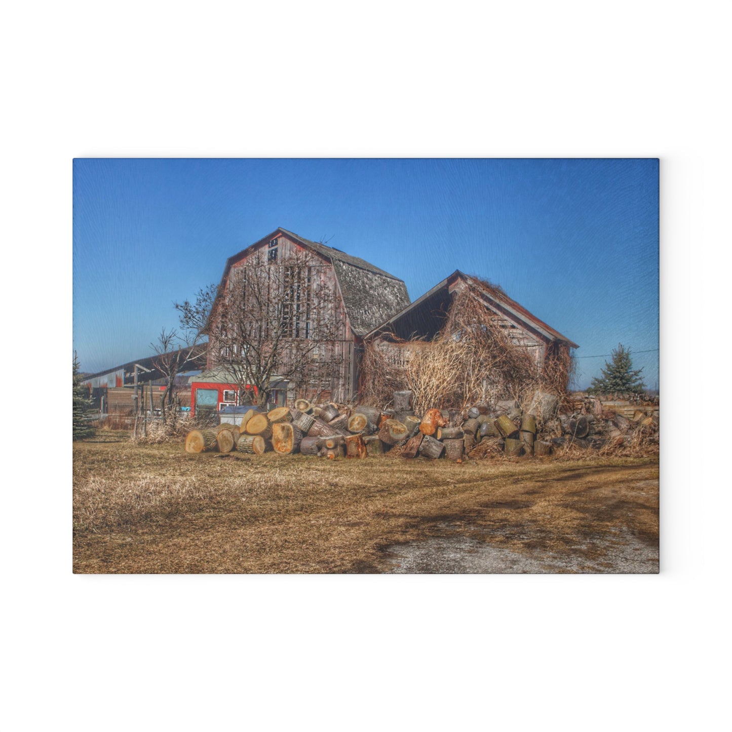 U R There Photography Dutcher Road Grey Rustic Farmhouse Tempered-Glass Cutting Board