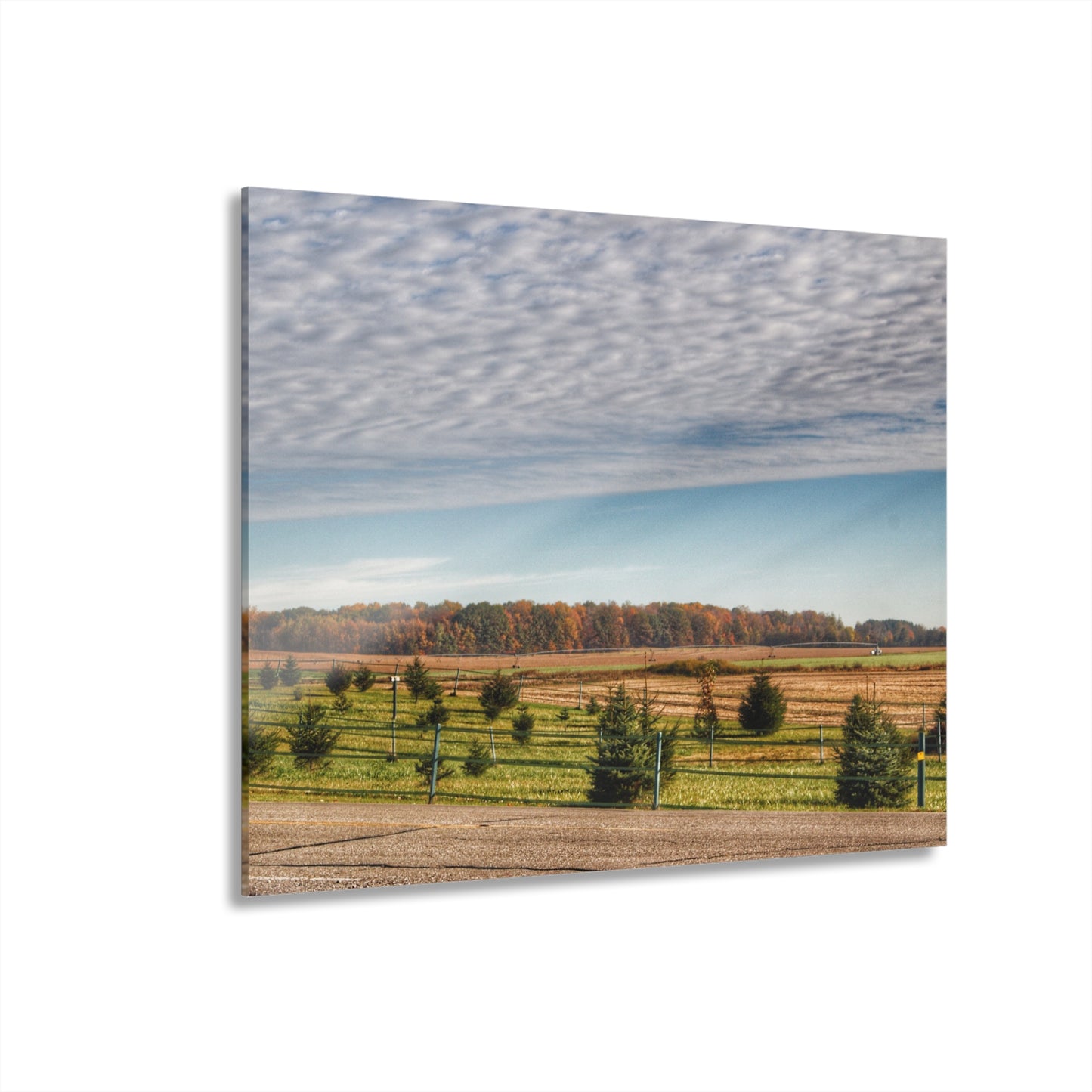 U R There Photography Fences, Firs and Fall Rustic Farmhouse Acrylic Wall Print