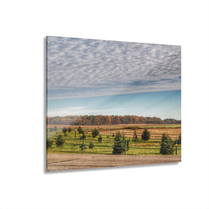 U R There Photography Fences, Firs and Fall Rustic Farmhouse Acrylic Wall Print
