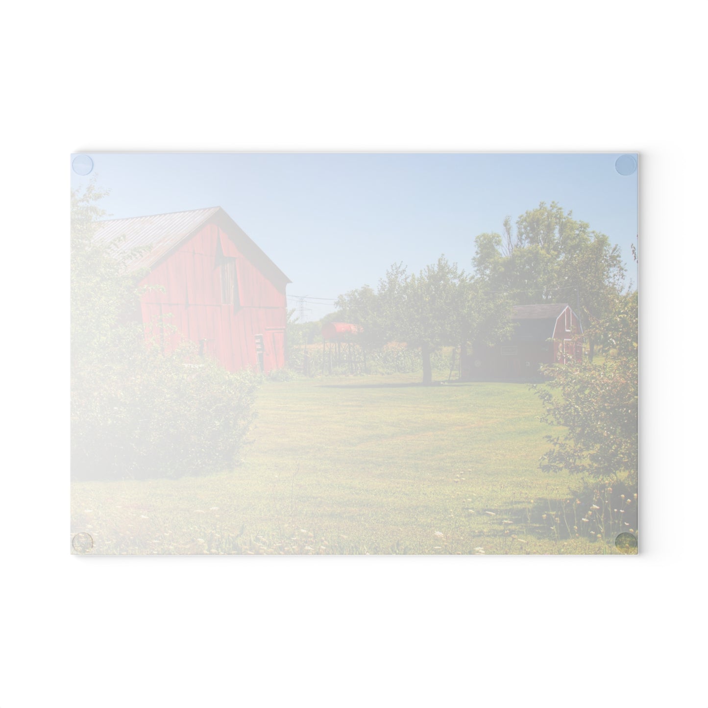 U R There Photography East Farrand Reds Rustic Farmhouse Tempered-Glass Cutting Board