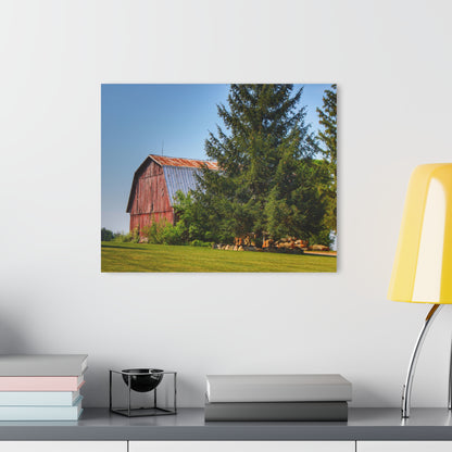 U R There Photography Mushroom Road Hidden Red Rustic Farmhouse Acrylic Wall Print