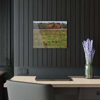 U R There Photography Once Upon a Time in a Pumpkin Patch Rustic Farmhouse Acrylic Wall Print