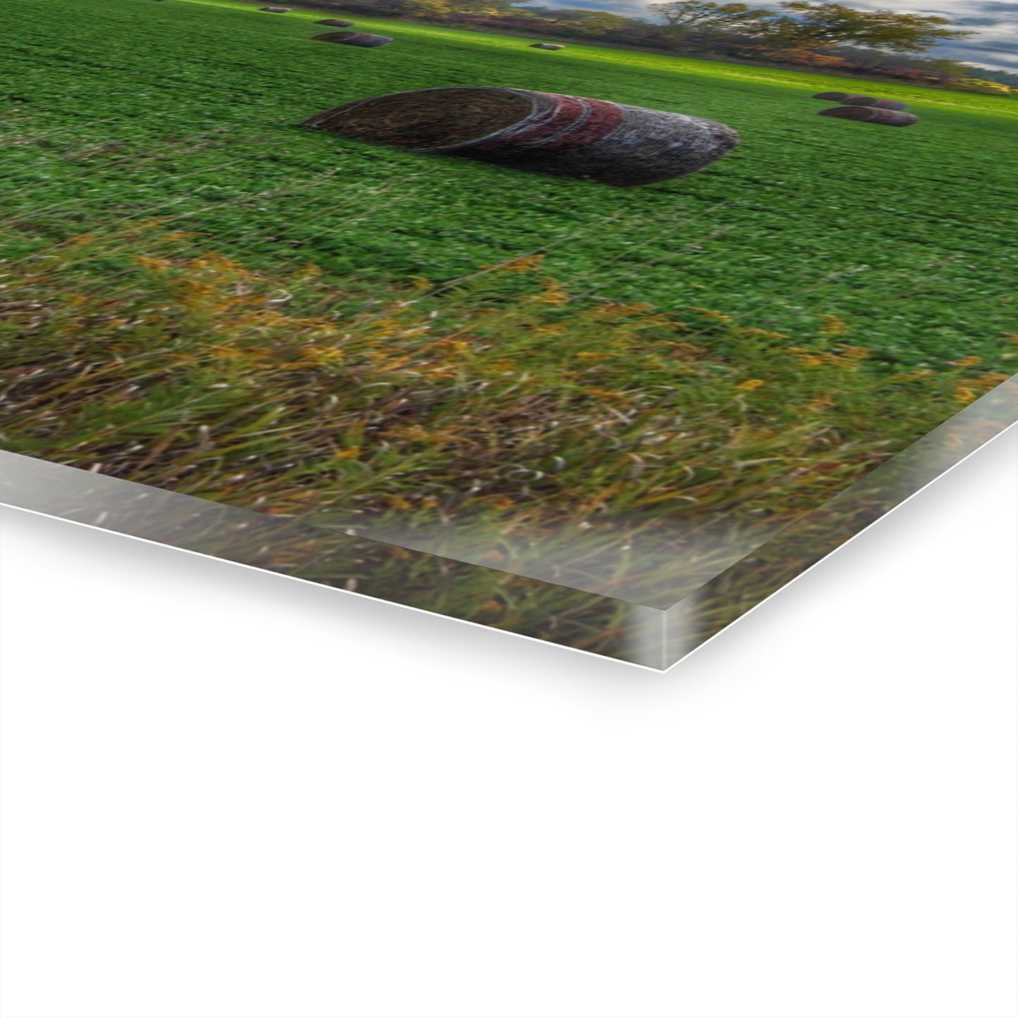 U R There Photography Haybale Heaven 2020 Rustic Farmhouse Acrylic Wall Print