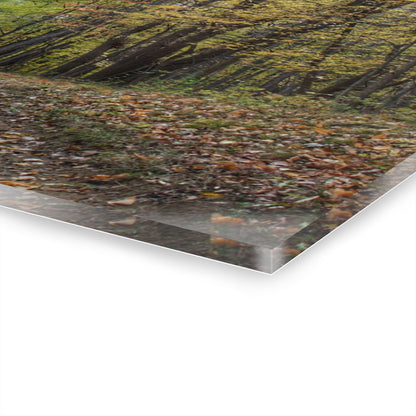 U R There Photography Country Roads in Dryden III Rustic Farmhouse Acrylic Wall Print