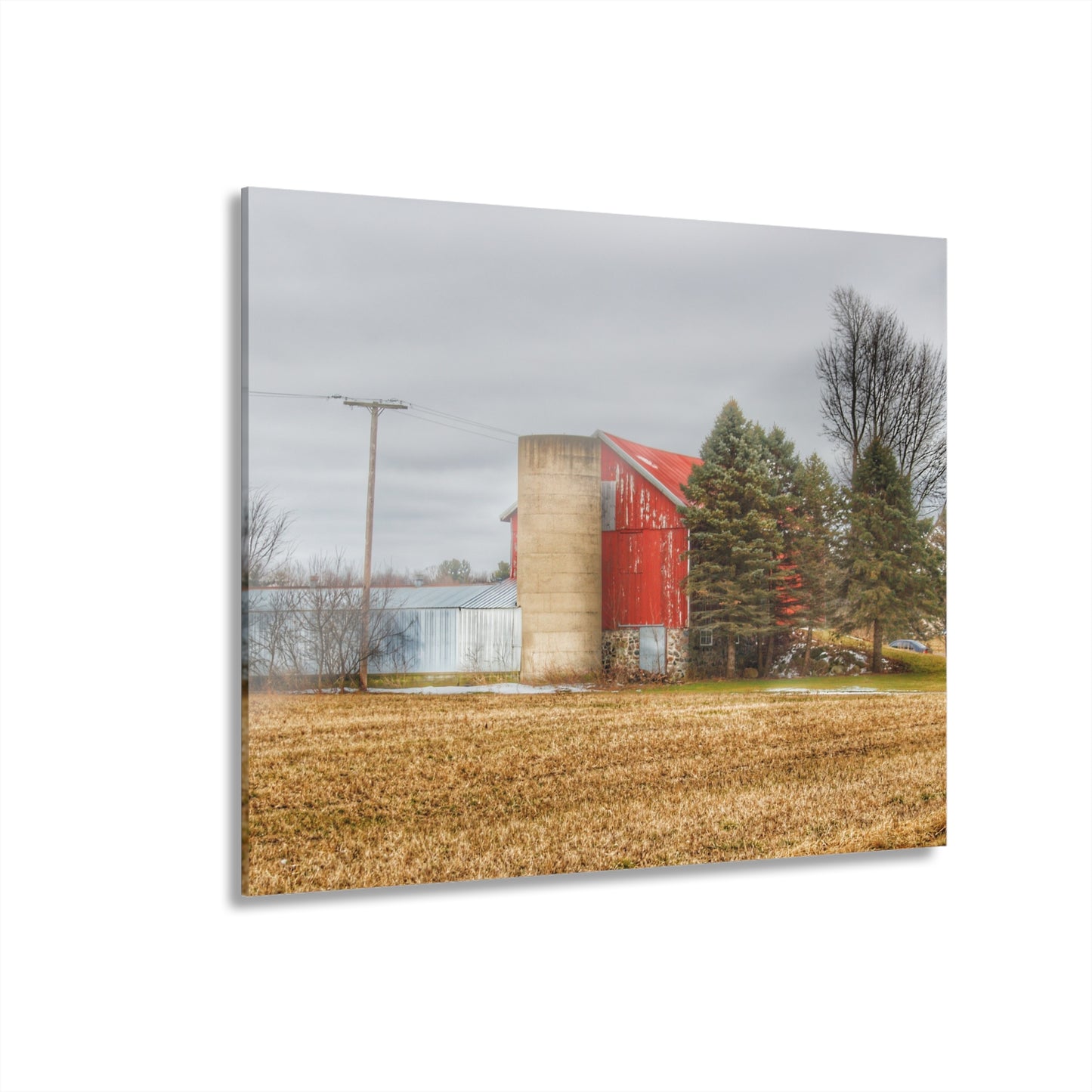 U R There Photography Laur Road Red Among the Pines I Rustic Farmhouse Acrylic Wall Print