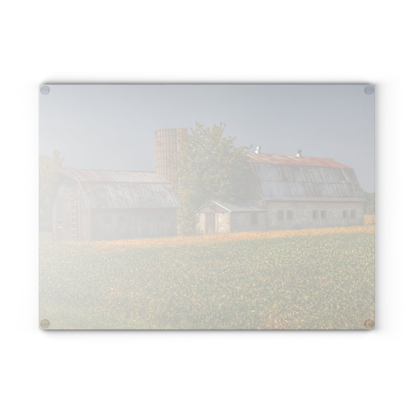 Barn Boutique Rustic Tempered-Glass Cutting Board| Swaffer Road Duo