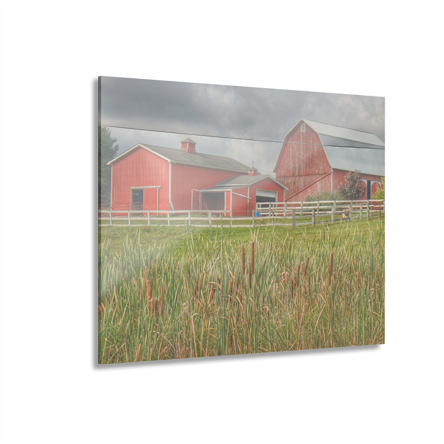 U R There Photography Greenwood Reds Rustic Farmhouse Acrylic Wall Print