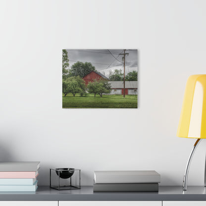 U R There Photography Hidden Red of M24 Rustic Farmhouse Acrylic Wall Print