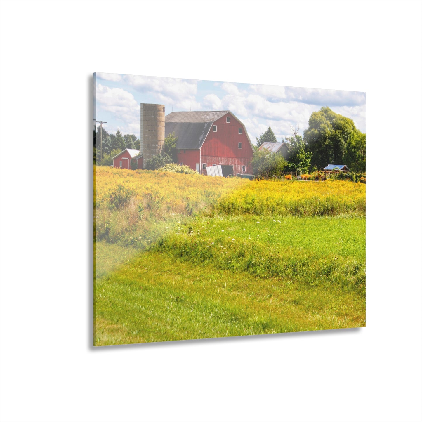 U R There Photography Starr Court Red I Rustic Farmhouse Acrylic Wall Print