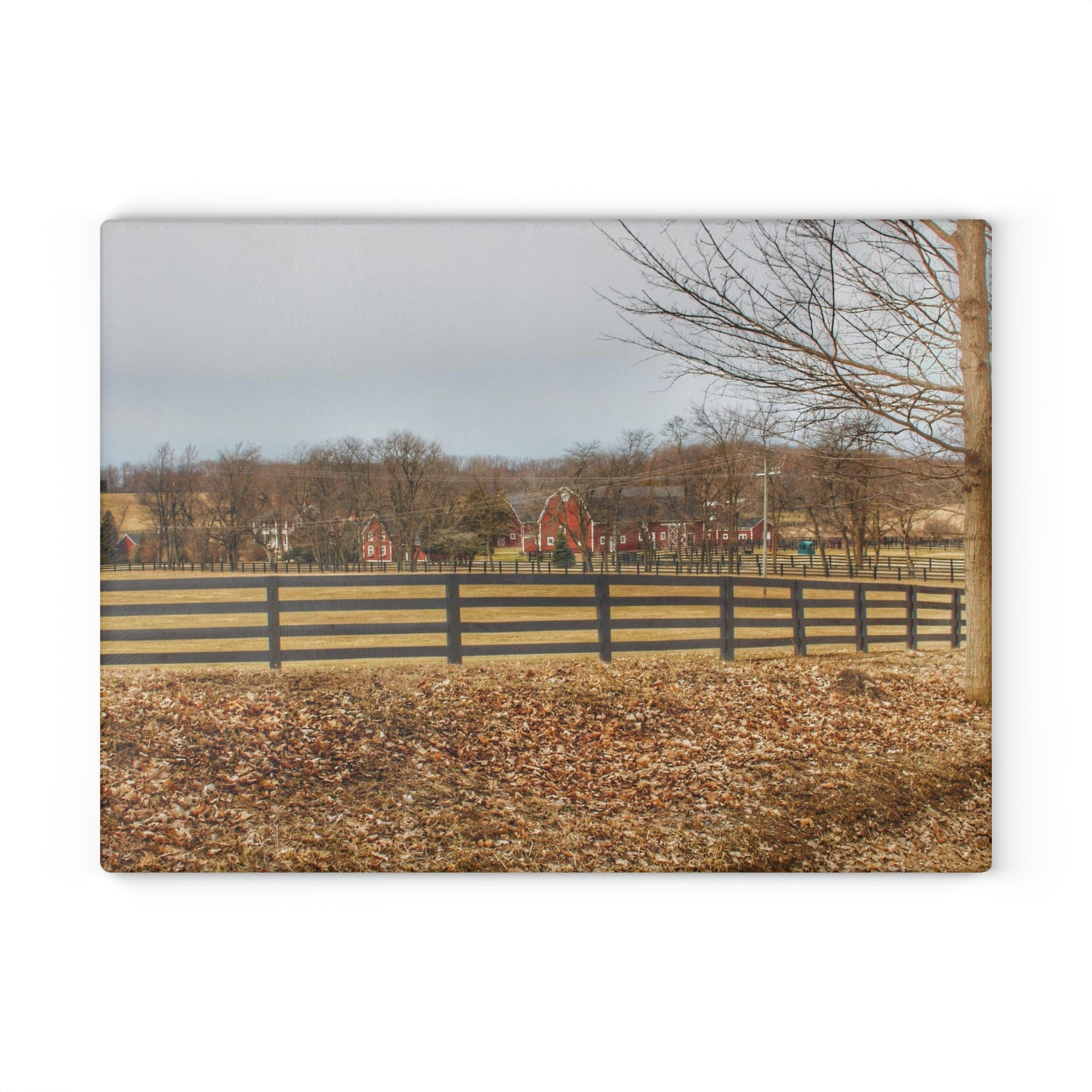 U R There Photography Barber Road Farm I Rustic Farmhouse Tempered-Glass Cutting Board
