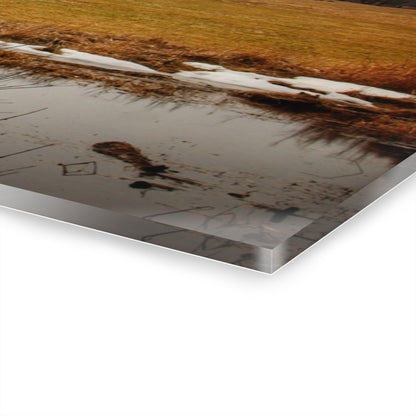 U R There Photography Havens Road Red Rustic Farmhouse Acrylic Wall Print