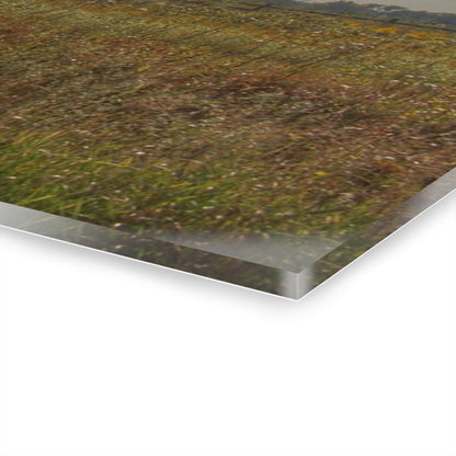 U R There Photography Mushroom Road Red II Rustic Farmhouse Acrylic Wall Print