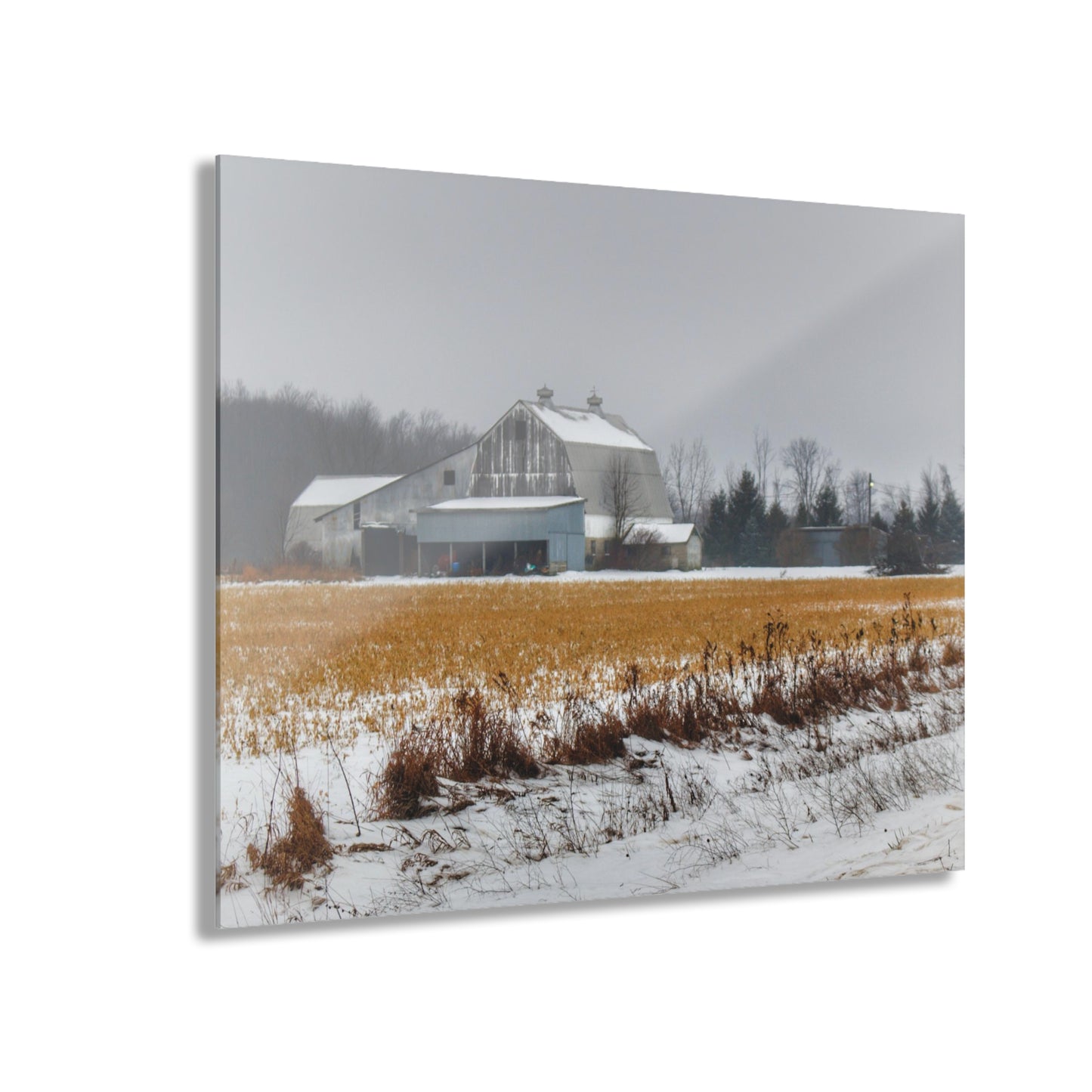 U R There Photography Argyle Road Grey Rustic Farmhouse Acrylic Wall Print